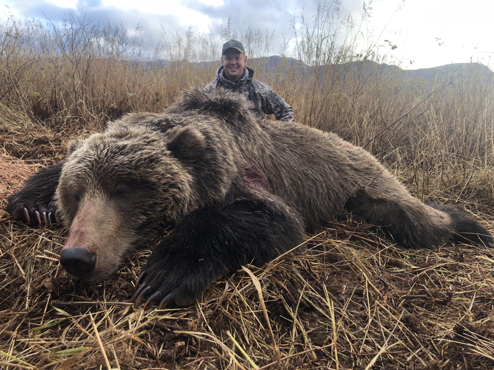 Kodiac Alaska Grizzly Bear