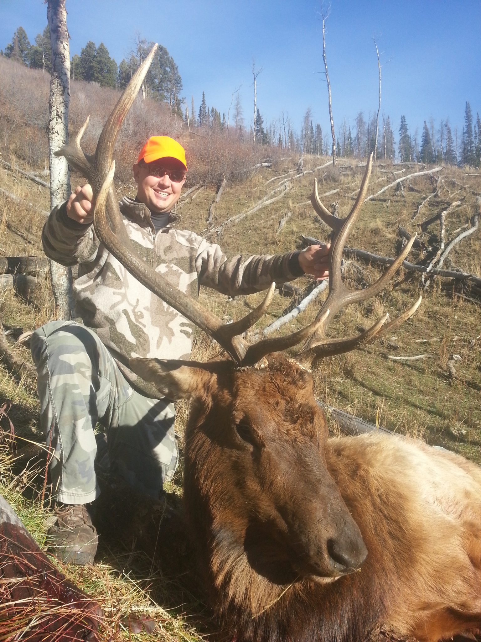 Colorado Elk hunting