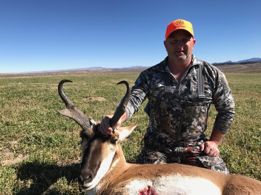 Possible Pronghorn