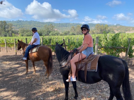 Tour vineyards by horse.