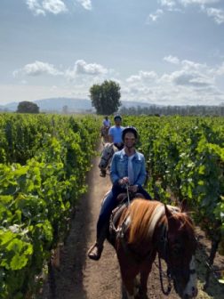 Tour the winery by horse.
