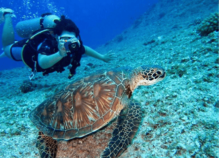 Travel carousel1 (1)