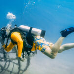 ACC3D71F-62B7-4911-BB6A-68691CA5E054